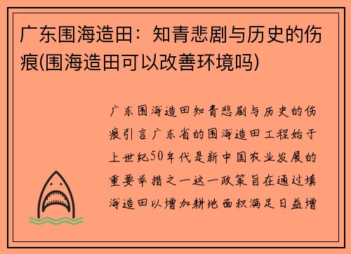 广东围海造田：知青悲剧与历史的伤痕(围海造田可以改善环境吗)