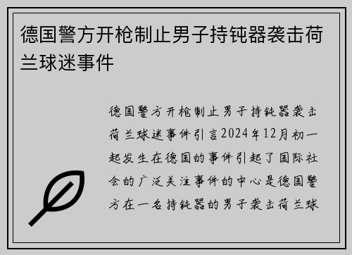 德国警方开枪制止男子持钝器袭击荷兰球迷事件