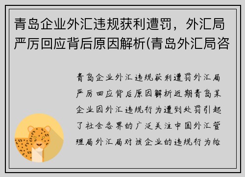 青岛企业外汇违规获利遭罚，外汇局严厉回应背后原因解析(青岛外汇局咨询电话)